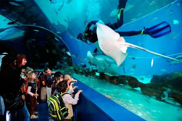places to visit in sharjah - Sharjah Aquarium