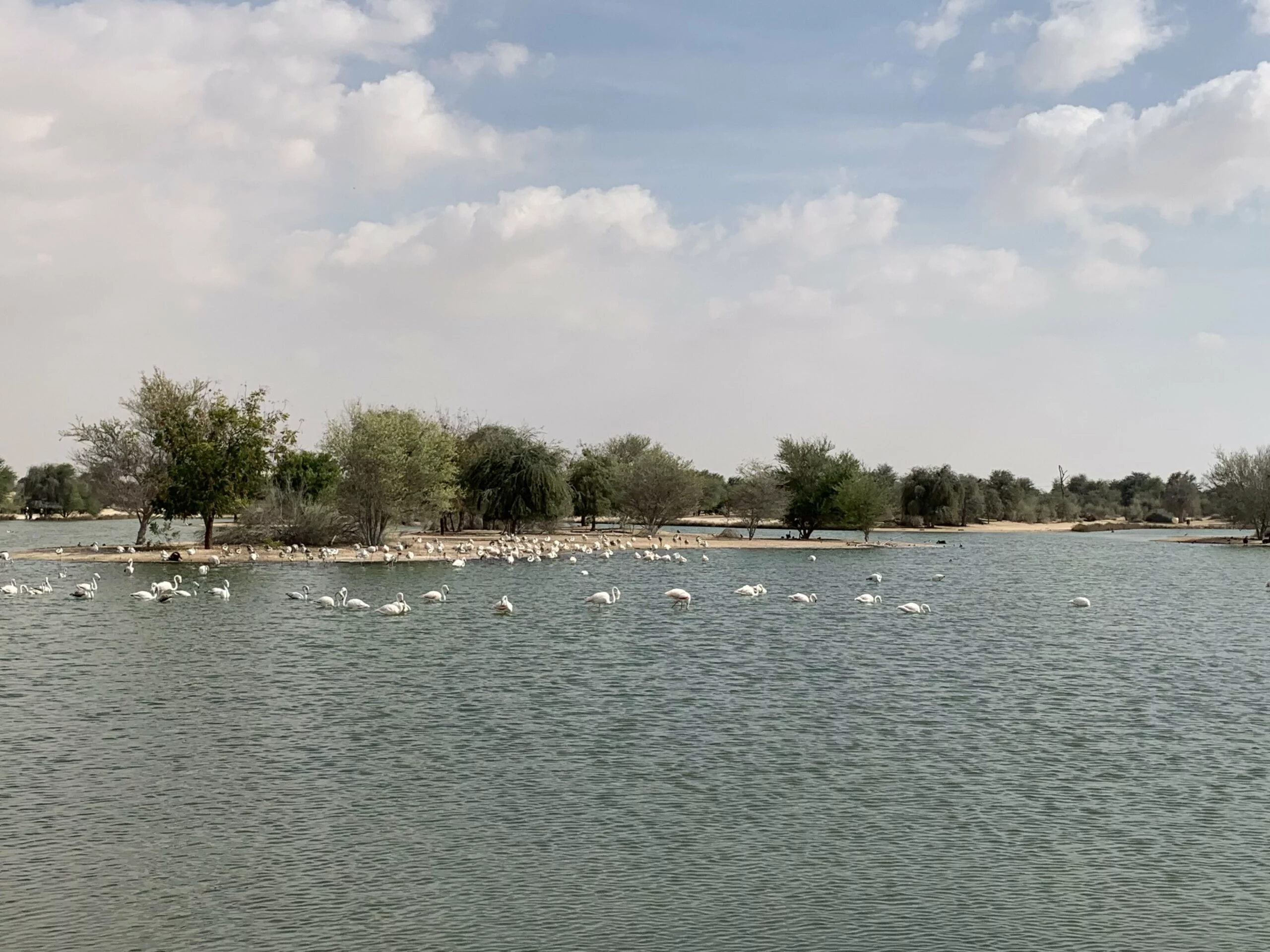 Al Qudra Lakes - Near Love Lake Dubai