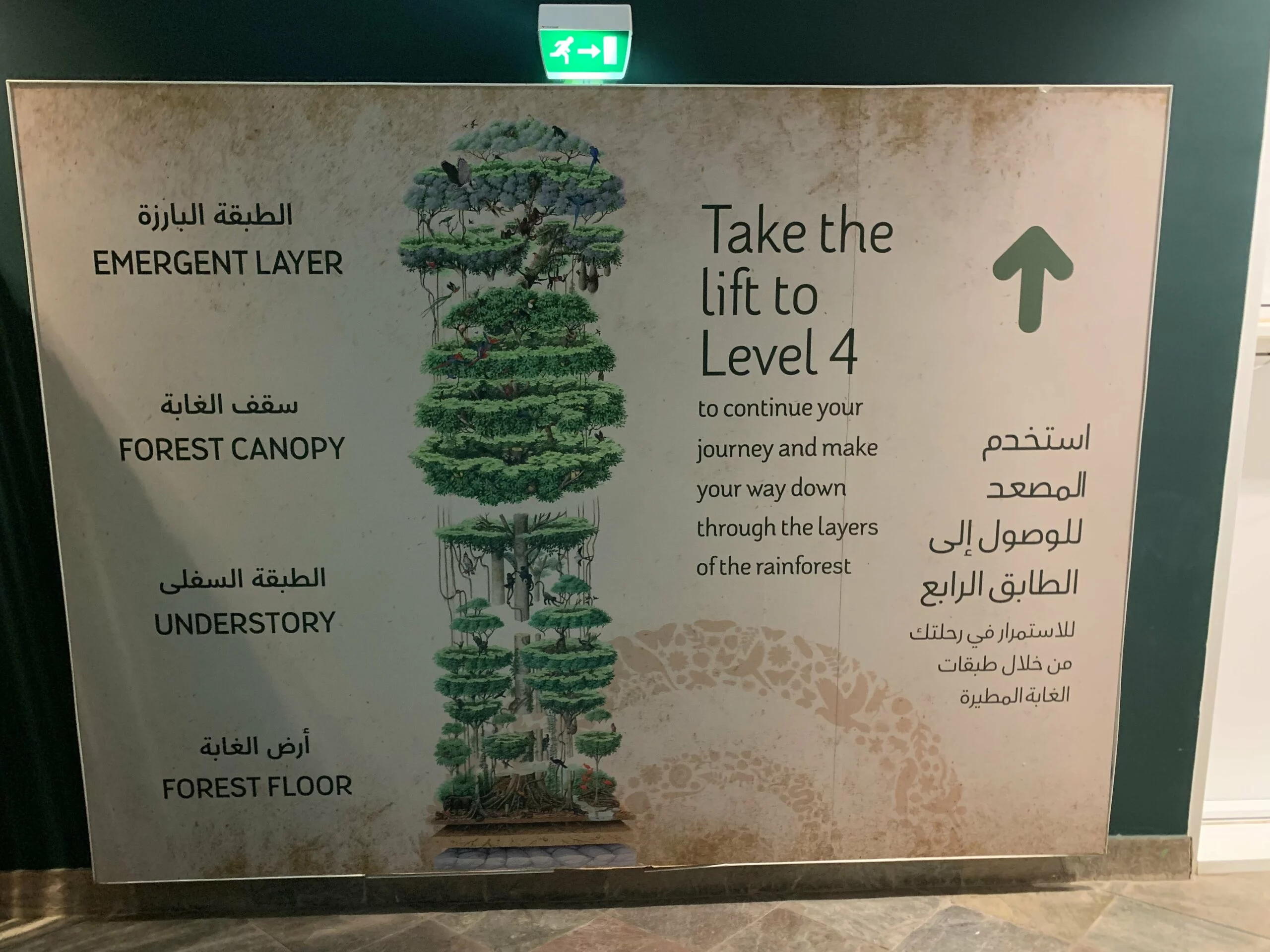 4 levels at Green Planet Dubai