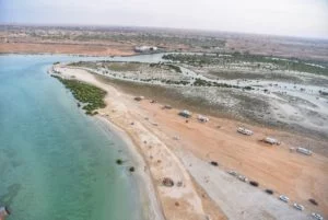 Umm Al Quwain Mangrove Beach and Forests of the UAE