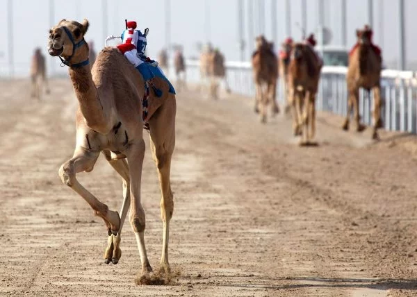 Ras al Khaimah tourist places