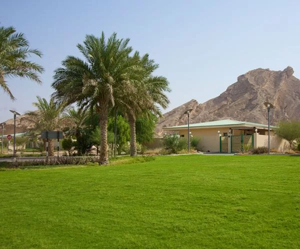 Best Places to Go Camping in The UAE