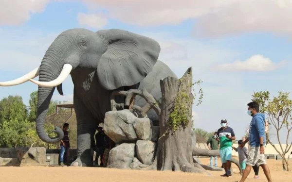 Top List Of Must-Visit Zoos In The UAE 2024