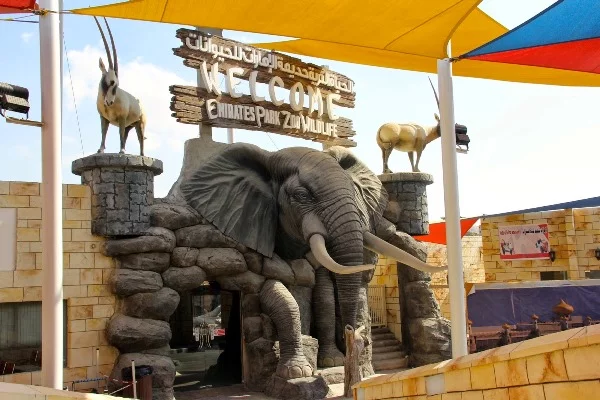 Top List Of Must-Visit Zoos In The UAE 2024