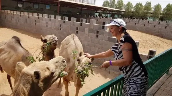 Top List Of Must-Visit Zoos In The UAE 2023