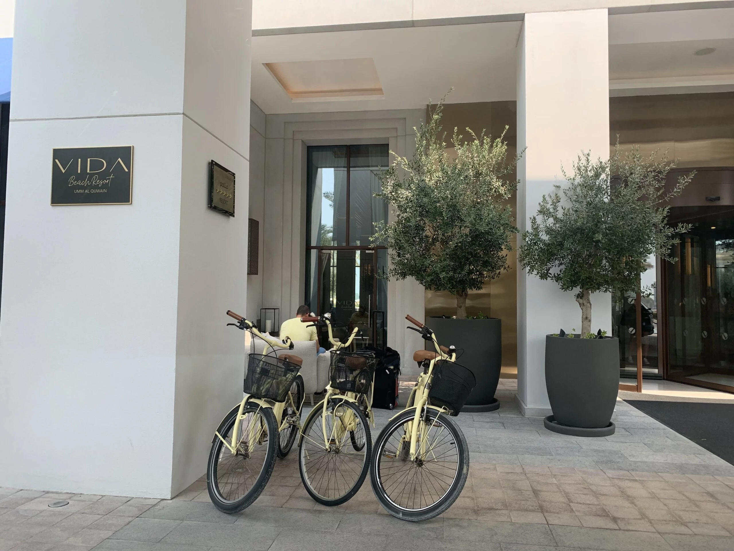 Olive Trees Are Everywhere. Bikes are free for hotel guests.