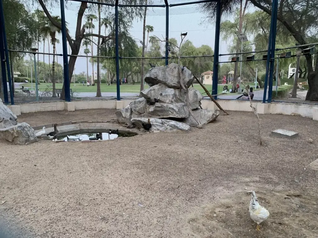 Birds at Mushrif Park in Dubai