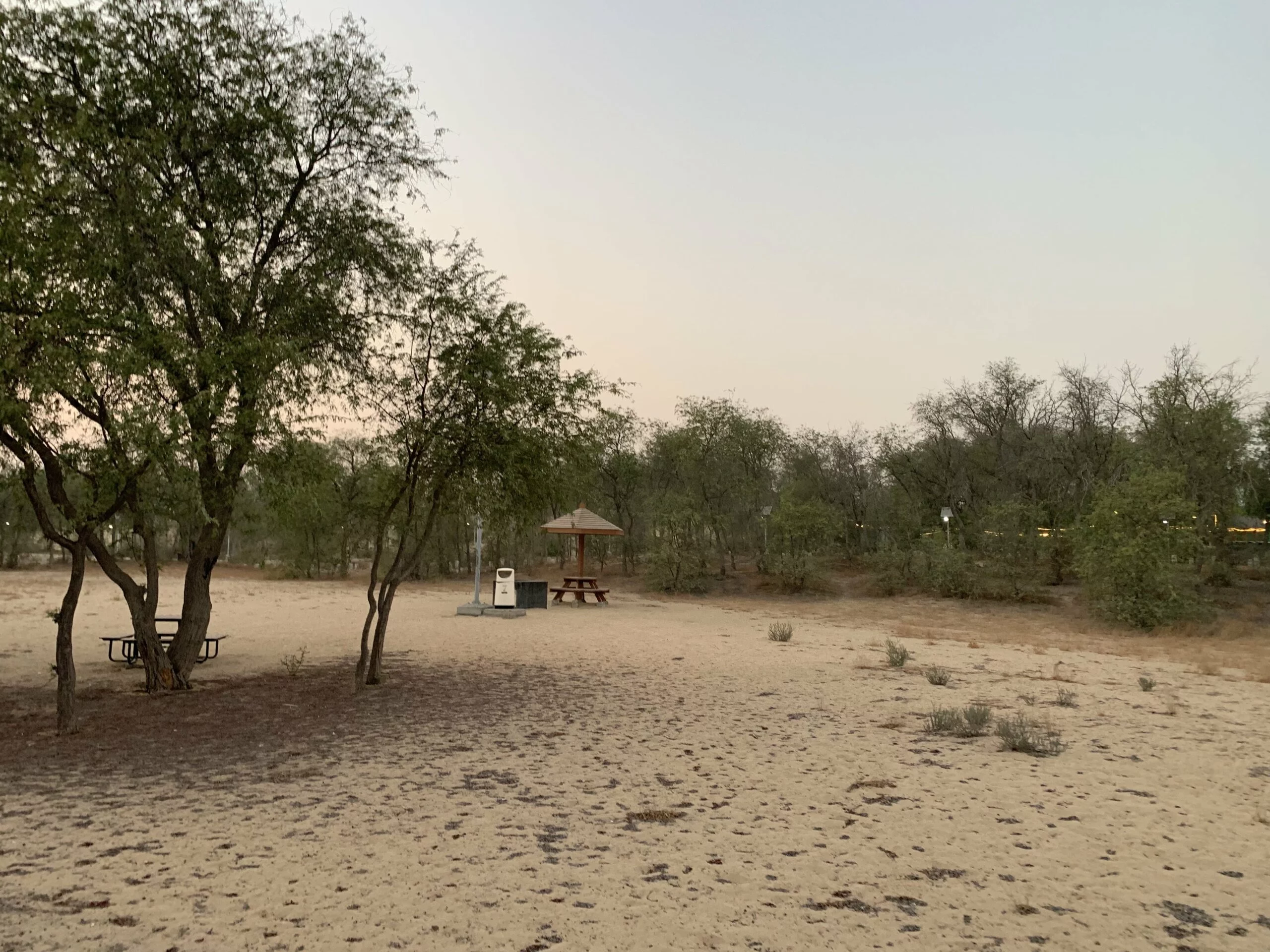 Parks in Dubai - Mushrif National park