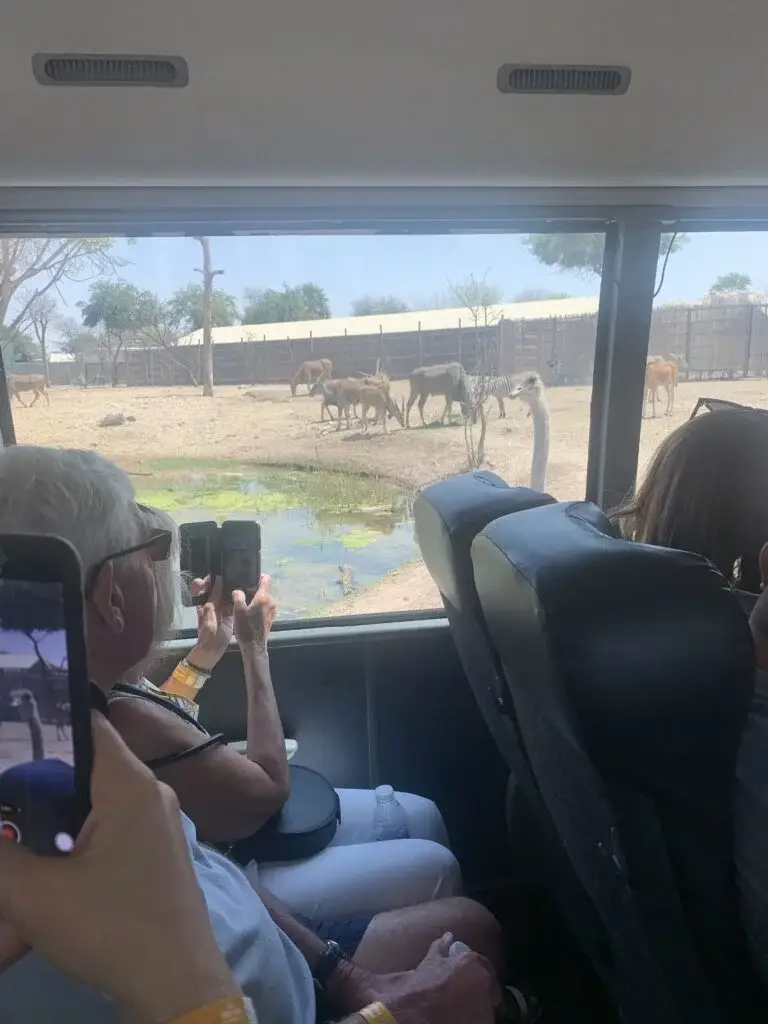 Safari Journey at Dubai Safari Park