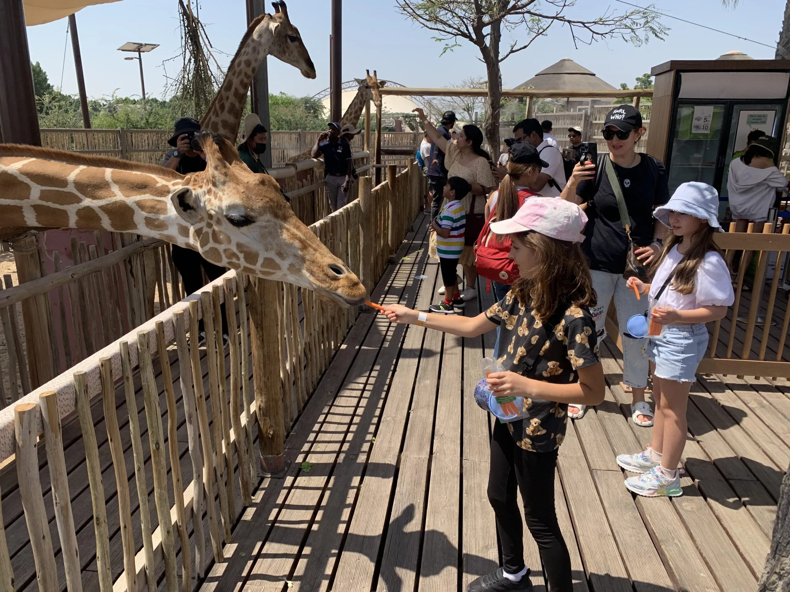 Feeding Sessions at Dubai Safari Park (Explorer Village)