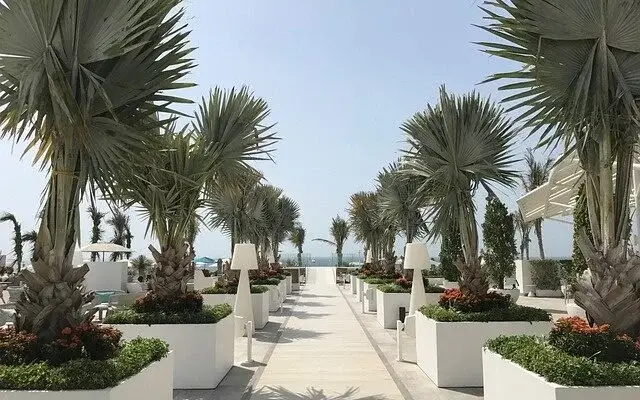 Beach Clubs in Dubai for Families
