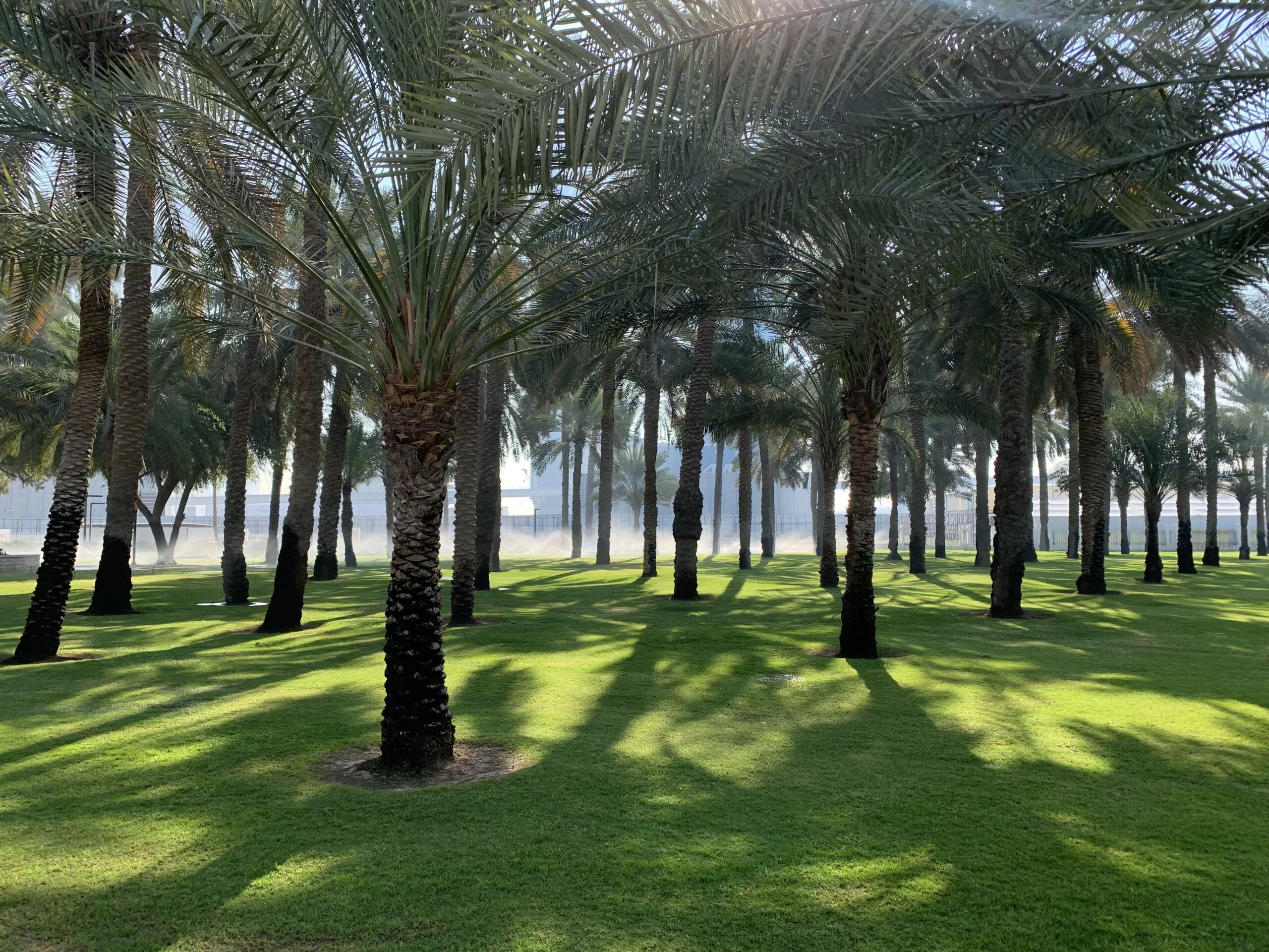Flora and Fauna of Safa Park Dubai