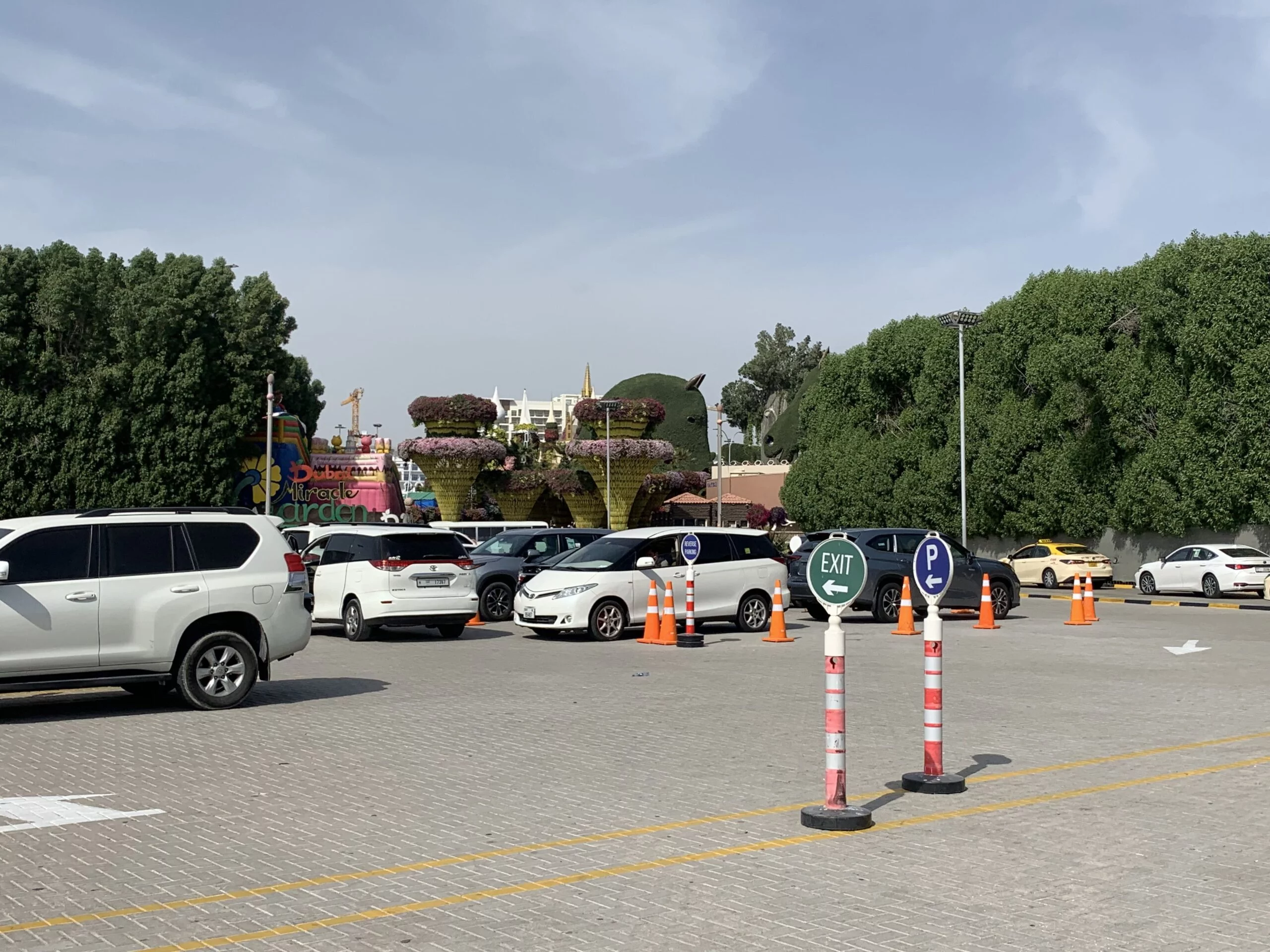 Free Parking at Dubai Miracle Garden