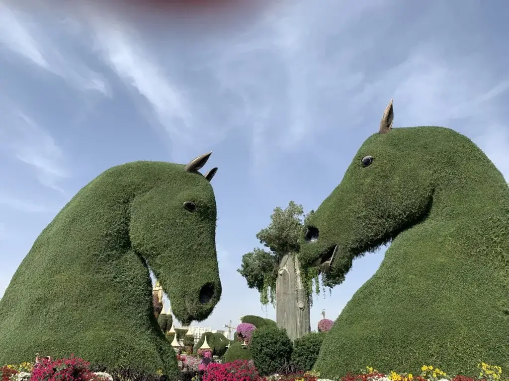 Horses - Dubai Miracle Garden