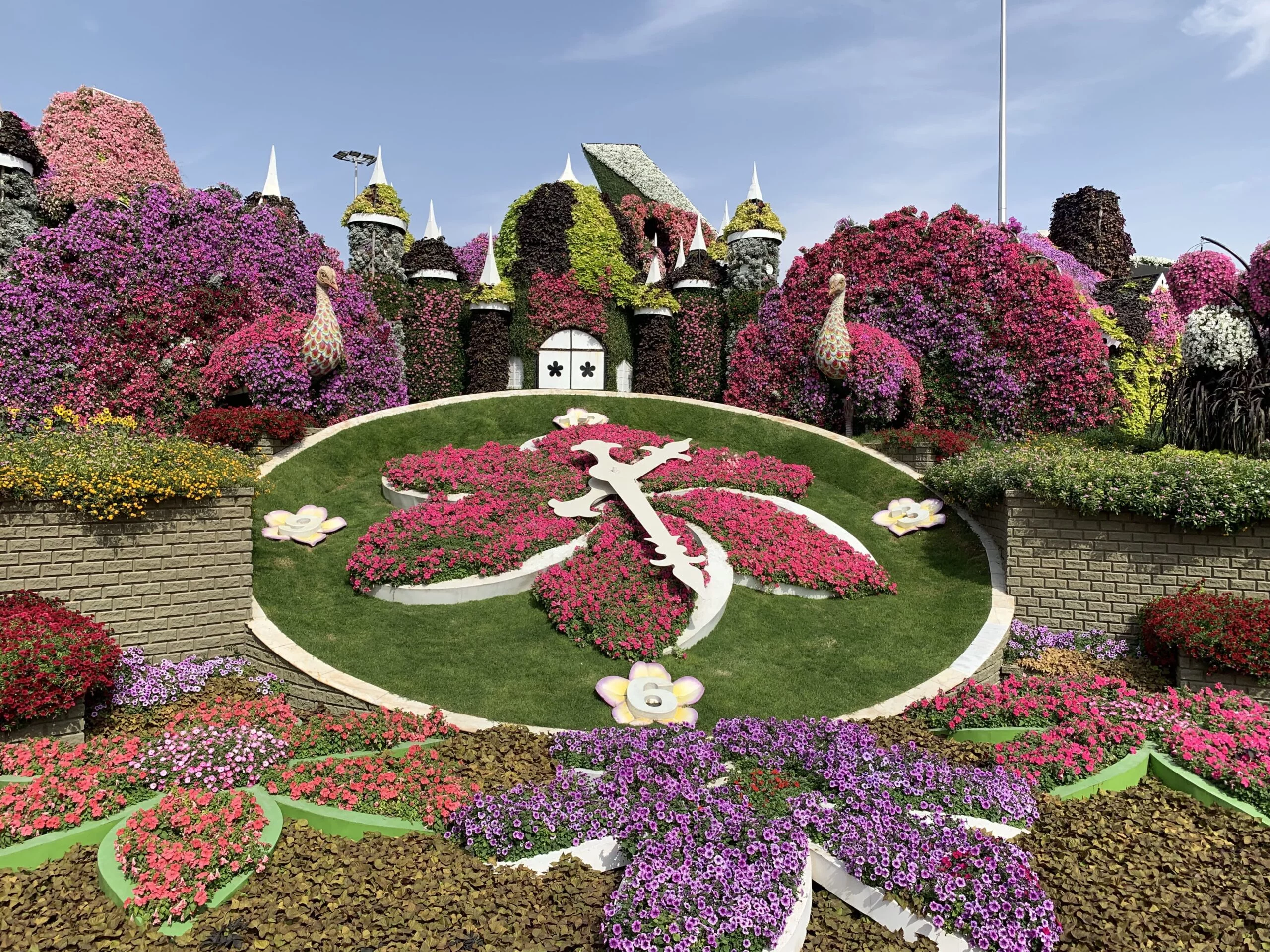 Floral Clocks at Miracle Garden Dubai