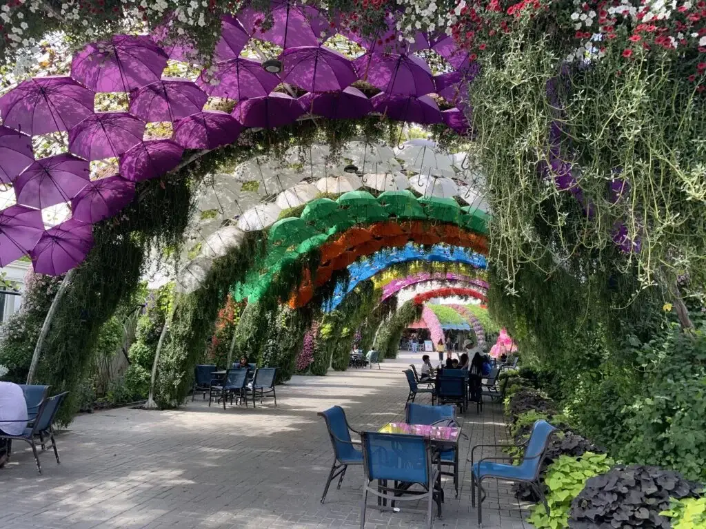 Umbrella Tunnel in Dubai Miracle Garden