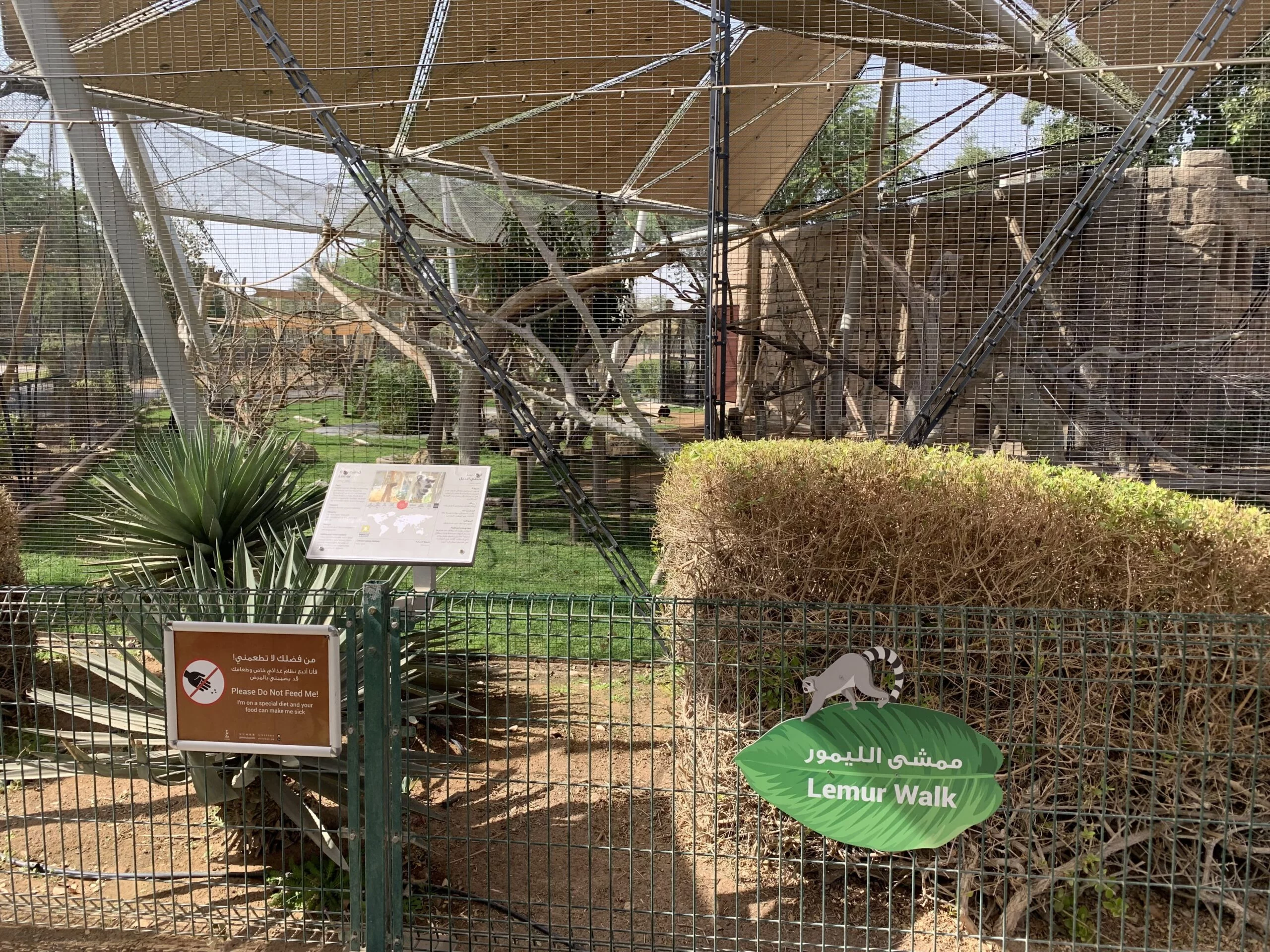 Lemur Walk - Al Ain Zoo